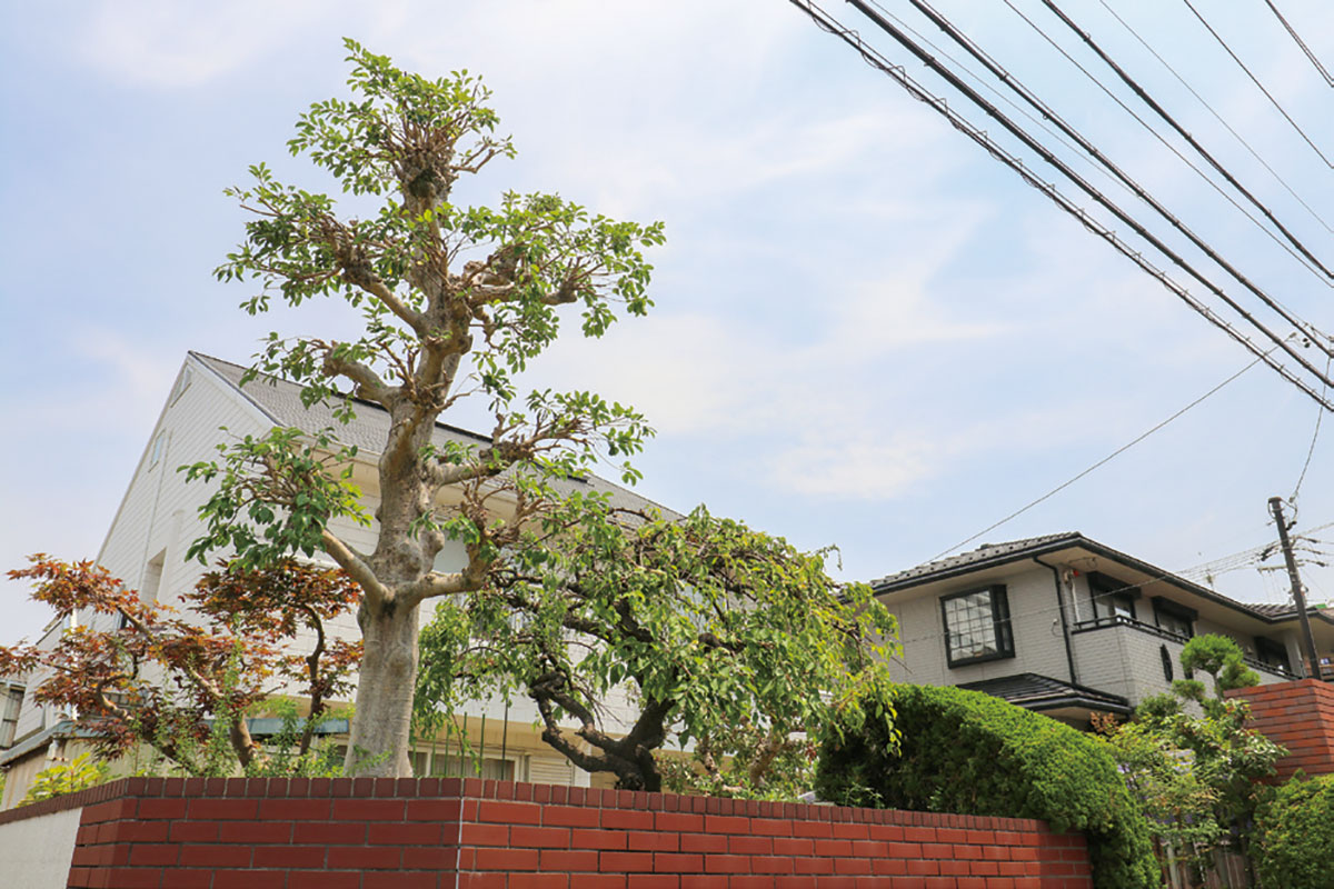 豊明市・名古屋市のリフォーム&外壁塗装ならサンリツホーム