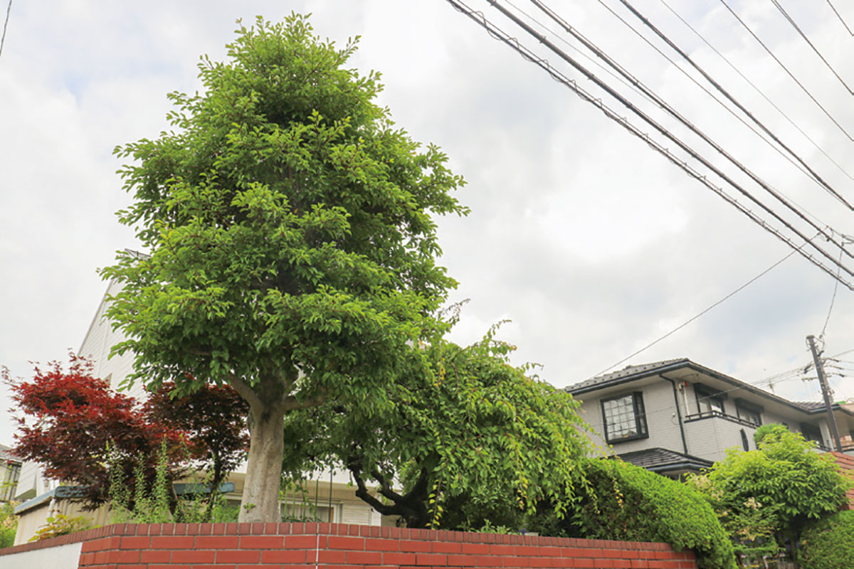 豊明市・名古屋市のリフォーム&外壁塗装ならサンリツホーム