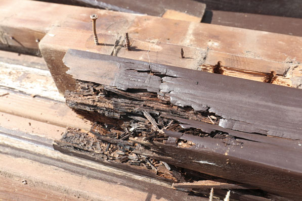 豊明市・名古屋市のリフォーム&外壁塗装ならサンリツホーム